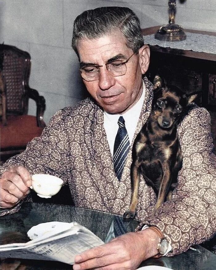 45 Vintage Dog Pics That Prove Man’s Best Buddy Hasn’t Changed a Bit