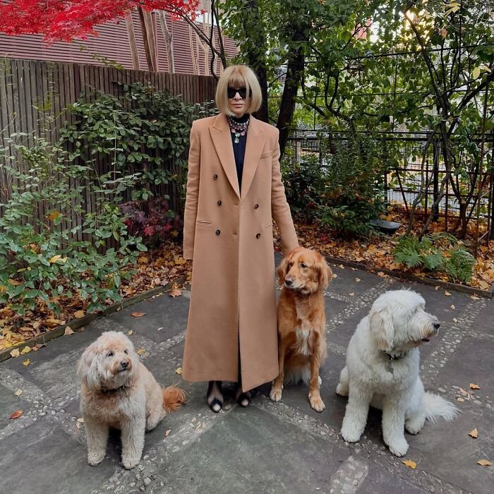 45 Vintage Dog Pics That Prove Man’s Best Buddy Hasn’t Changed a Bit