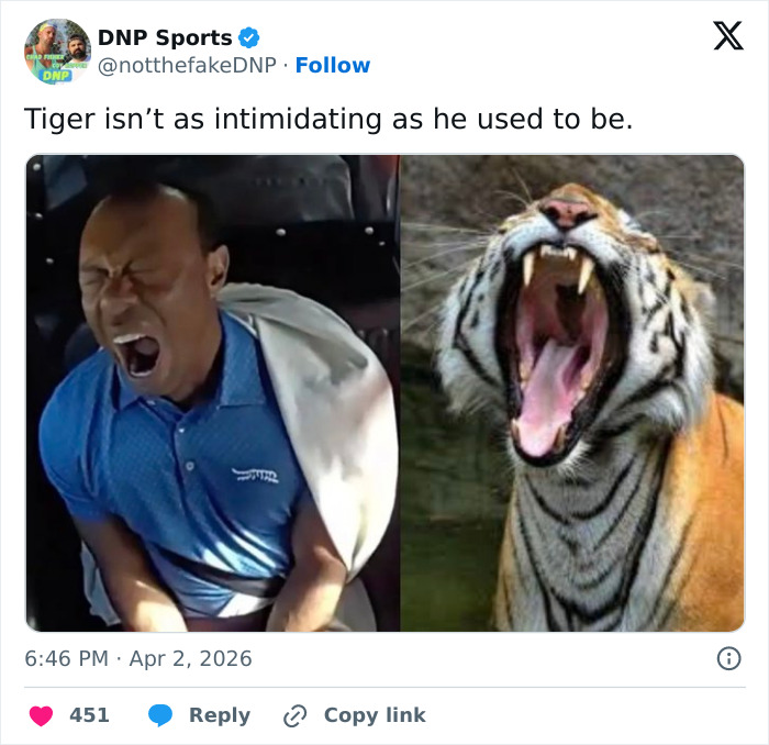 Wait, People Made Memes About Tiger Woods’ DUI? Yep, and They’re Hilarious!