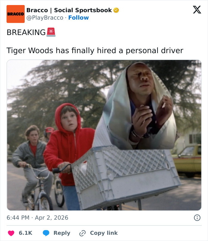Wait, People Made Memes About Tiger Woods’ DUI? Yep, and They’re Hilarious!