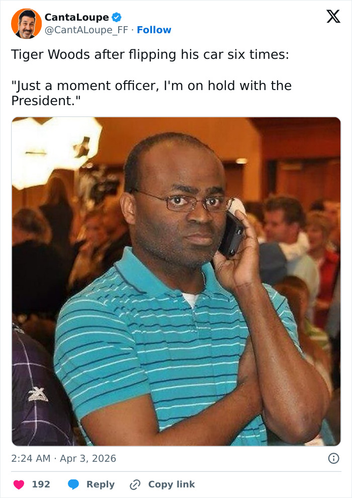 Wait, People Made Memes About Tiger Woods’ DUI? Yep, and They’re Hilarious!