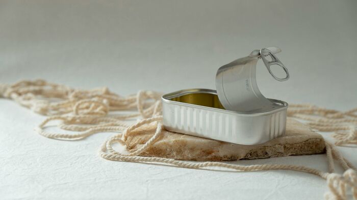 Wait, TSA Confiscated THAT? The Wildest Airport Finds Ever!