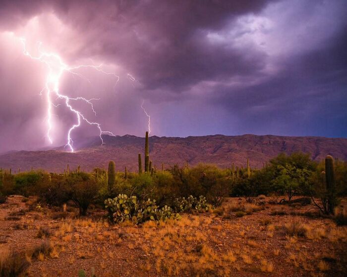 Lightning Show Stunner Caught On Camera!