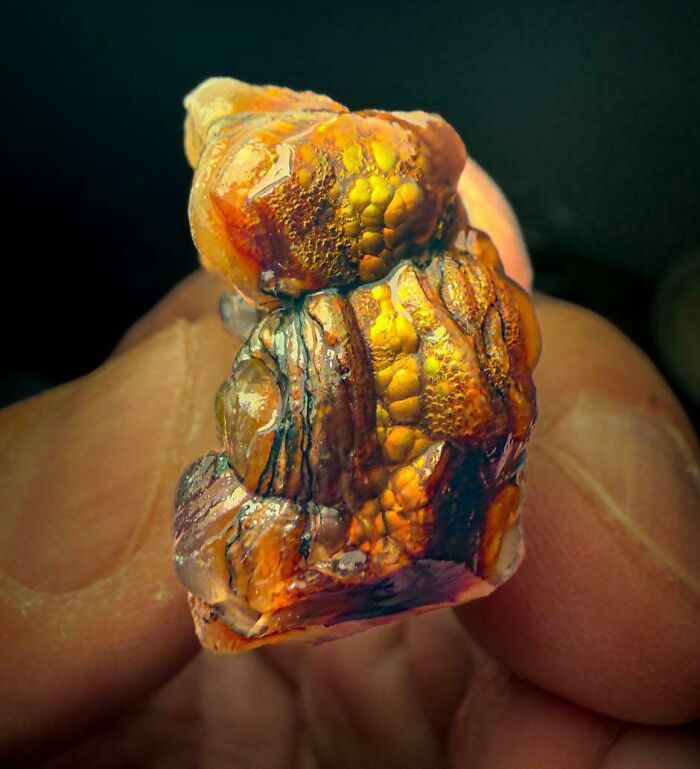 Just Dug Up This Beauty Straight From The Arizona Desert—No Filters!