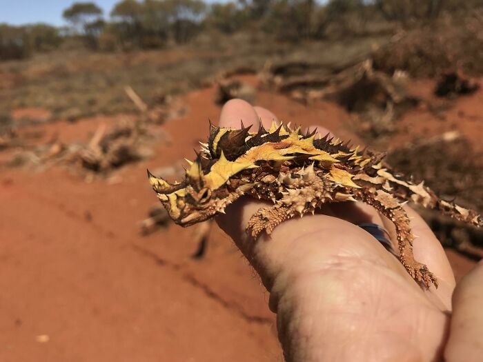 Wait, They Actually Found This Stuff In The Desert?!