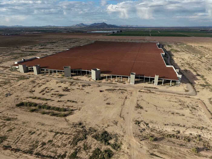 Wait, They Actually Found This Stuff In The Desert?!