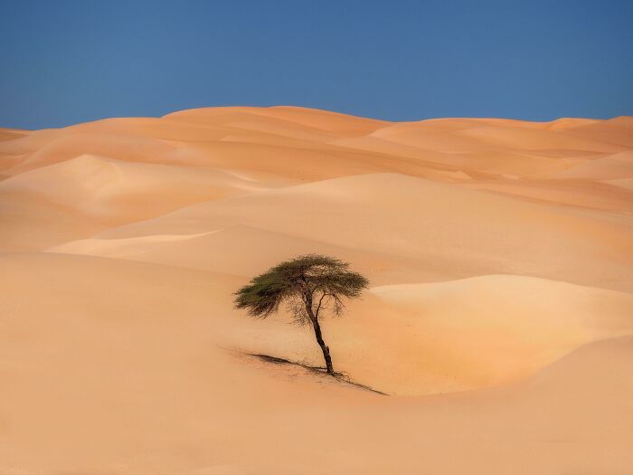 Wait, They Actually Found This Stuff In The Desert?!