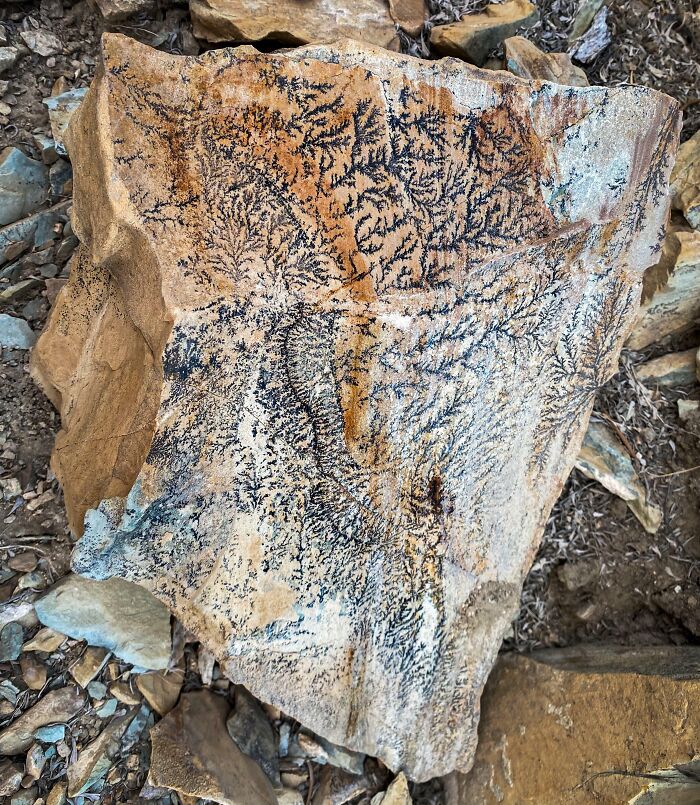 Wait, They Actually Found This Stuff In The Desert?!