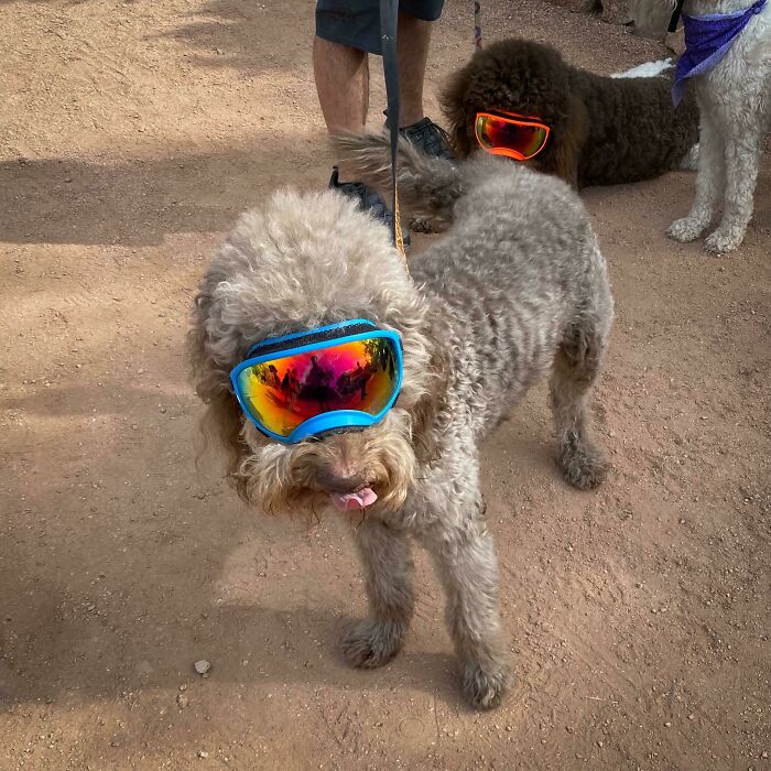 Wait, They Actually Found This Stuff In The Desert?!