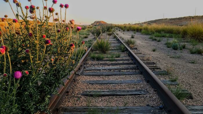 Wait, They Actually Found This Stuff In The Desert?!