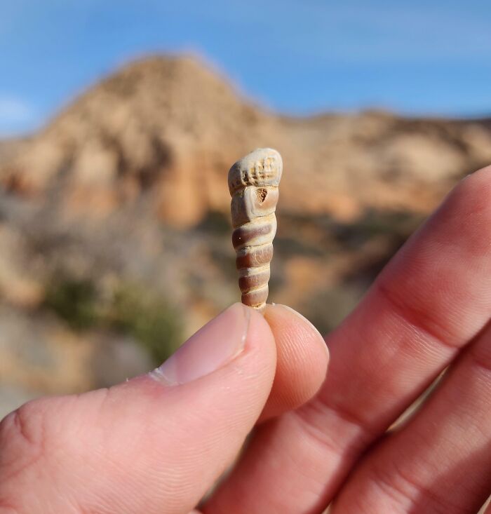 Wait, They Actually Found This Stuff In The Desert?!