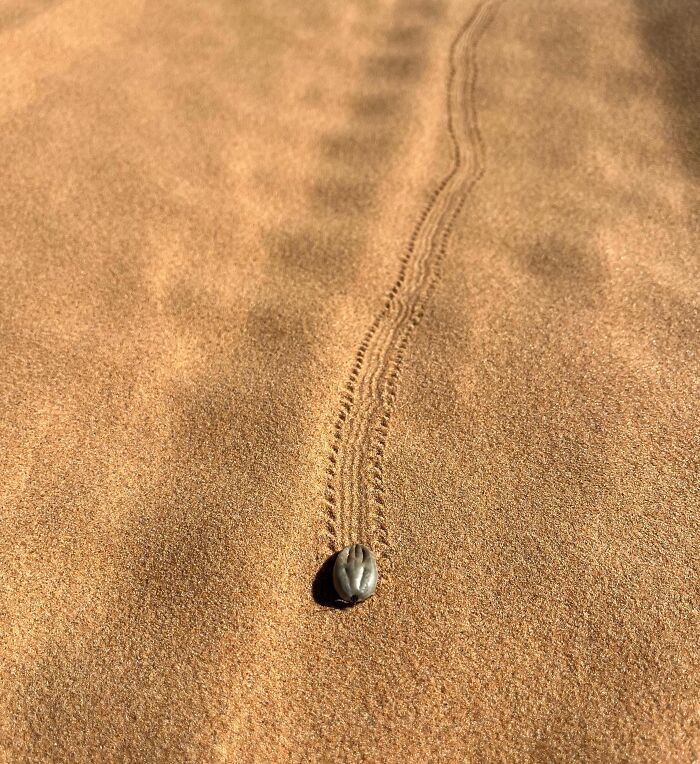 Wait, They Actually Found This Stuff In The Desert?!