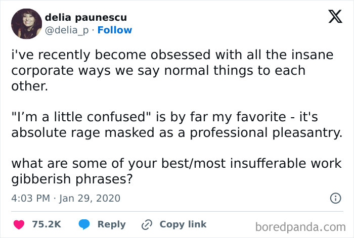 When Work Life Feels Like a Comedy Show