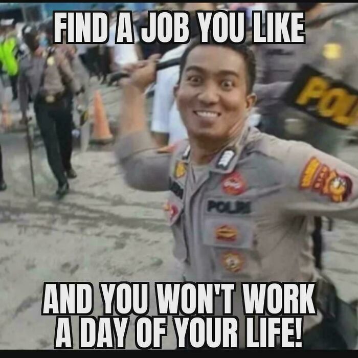 When Work Life Feels Like a Comedy Show