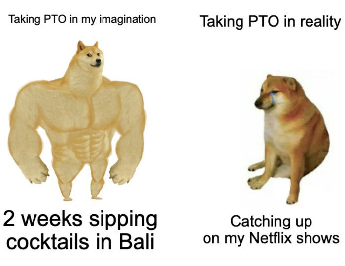 When Work Life Feels Like a Comedy Show