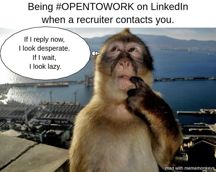 When Work Life Feels Like a Comedy Show