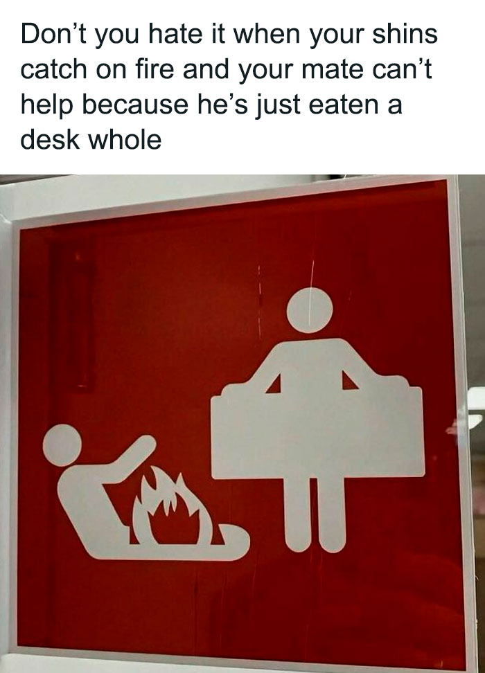 Whoa, These Memes Are Serving Full-On Internet Madness!