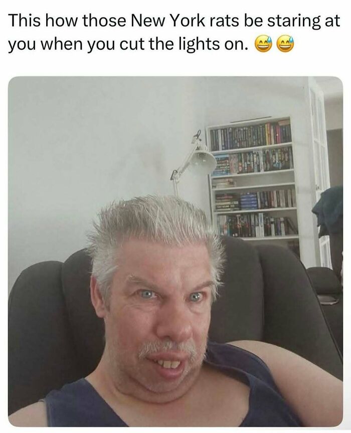 Whoa, These Memes Are Serving Full-On Internet Madness!