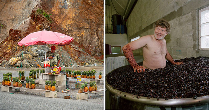 35 Food Pics From Around The World That Totally Rocked The 2026 Food Awards