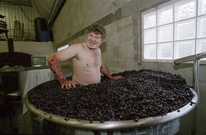 Wine Guy Foot-Treading Pinot Noir Grapes Like It's 1800s