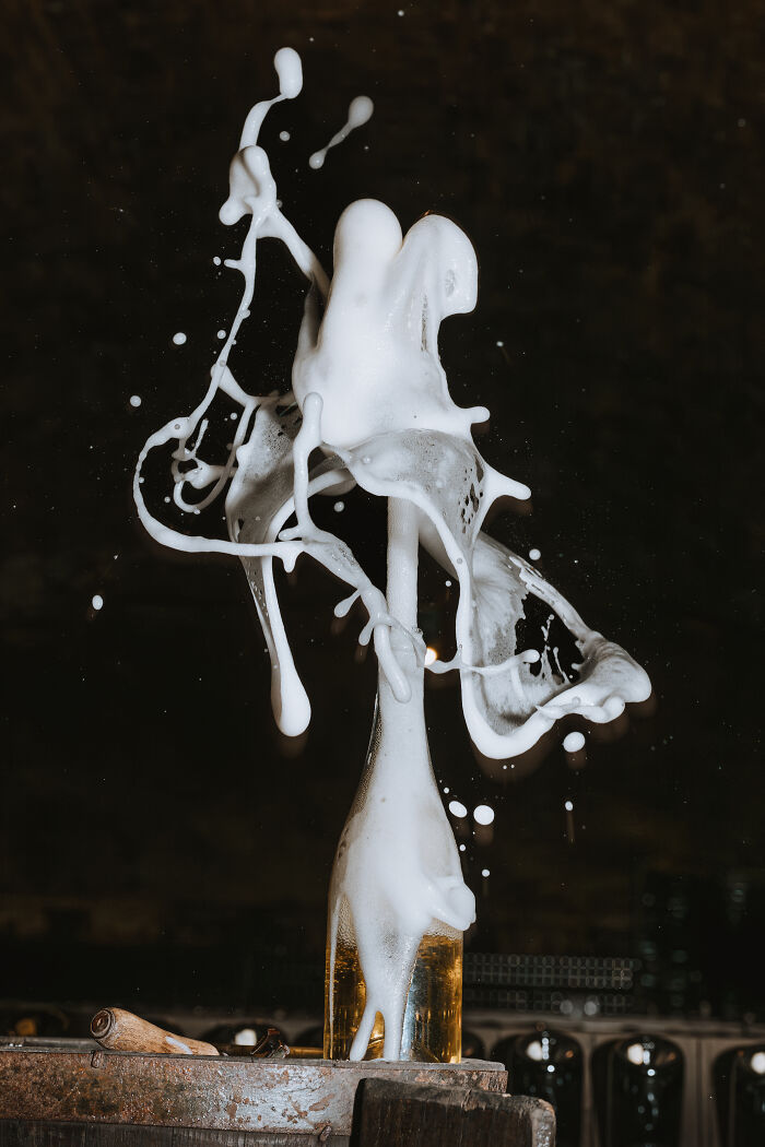 Behind The Scenes At A Wine Factory