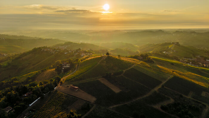 Bird’s Eye View Of A Hill That Makes You Wanna Sip Wine