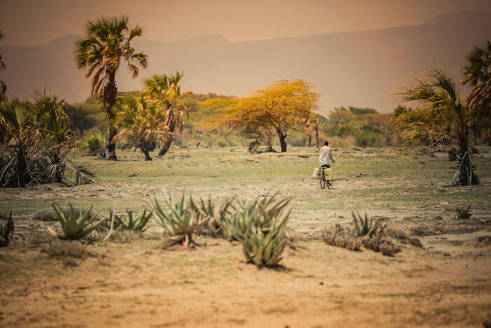 Water Delivery Dad On Wheels in Tanzania