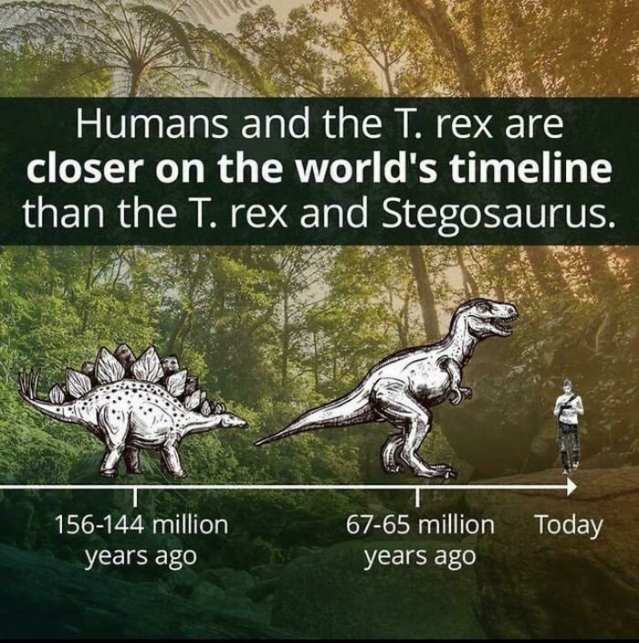 Did You Know? Dinosaurs Were Around So Long, It’s Crazy to Fully Grasp!