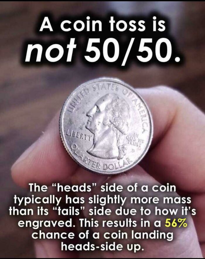 Fun Fact. Did You Know? (We Couldn't Help Ourselves)