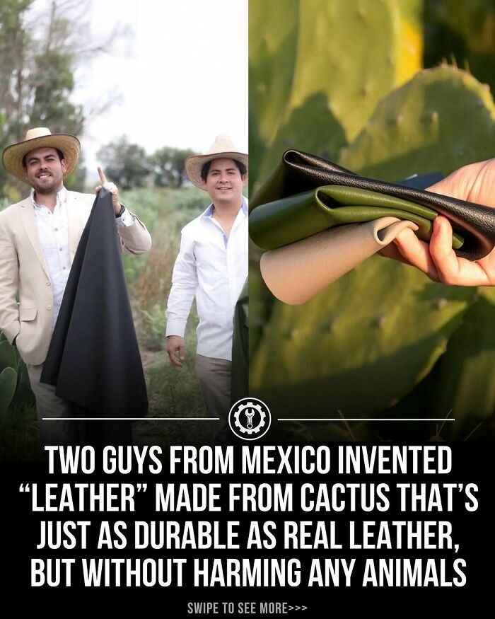 79 Wildly Weird Facts You Won't Believe Are Real