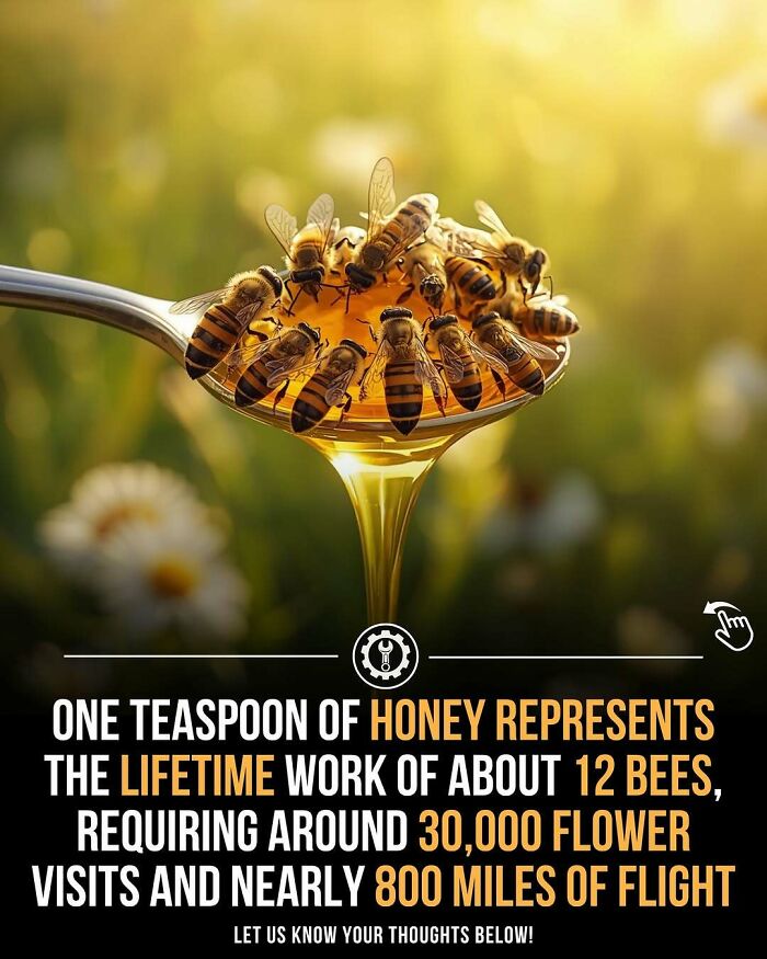 79 Wildly Weird Facts You Won't Believe Are Real