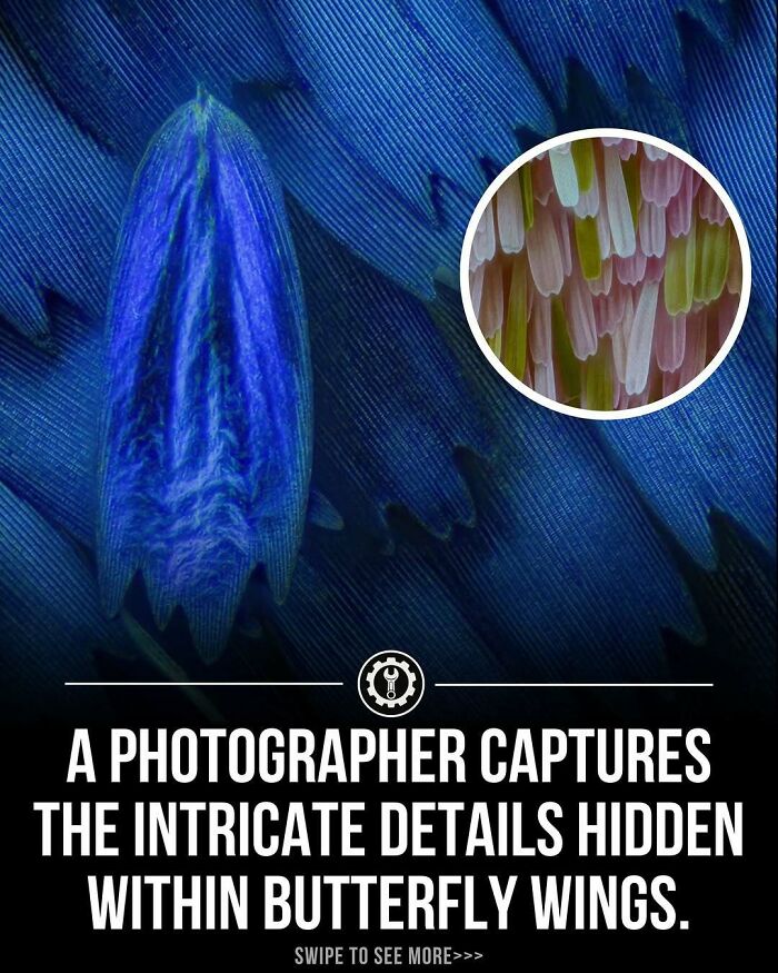 79 Wildly Weird Facts You Won't Believe Are Real