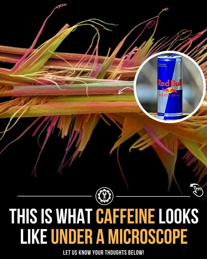 79 Wildly Weird Facts You Won't Believe Are Real