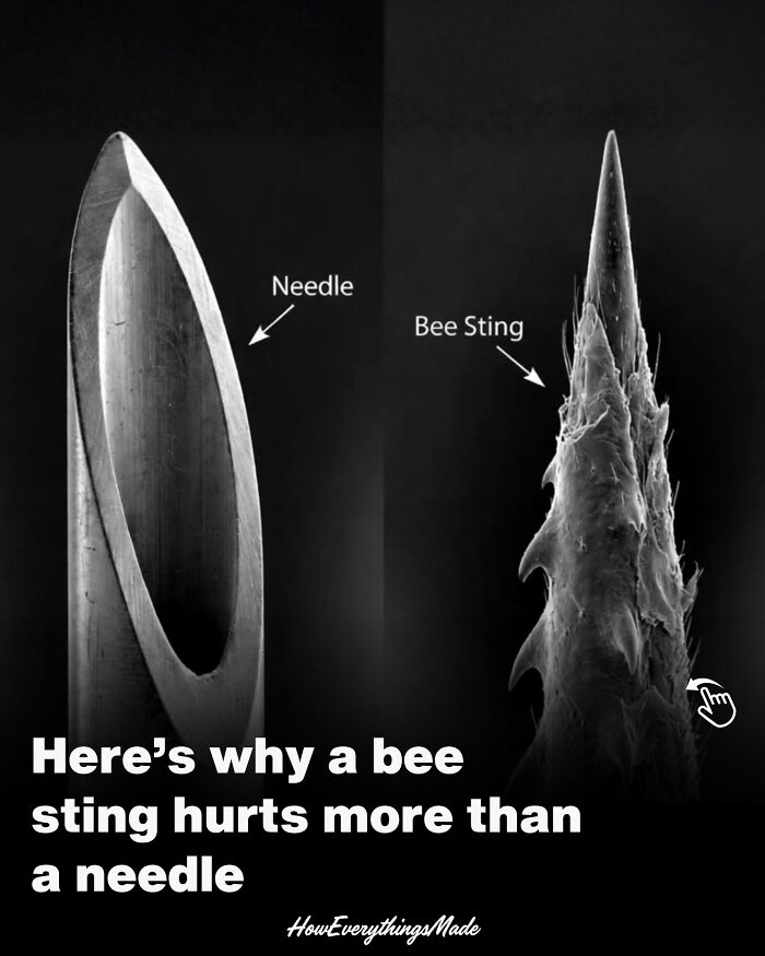 79 Wildly Weird Facts You Won't Believe Are Real