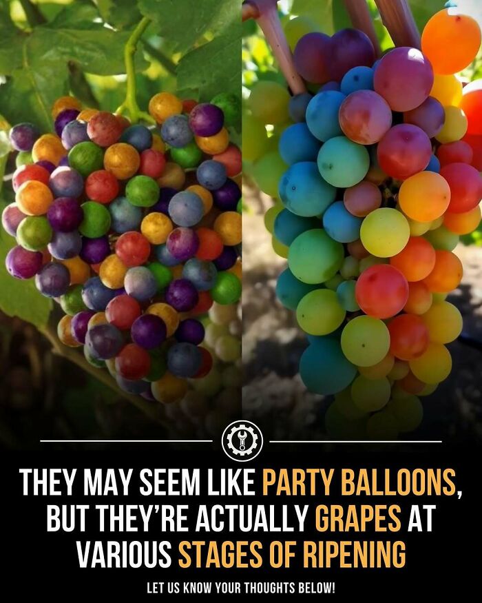 79 Wildly Weird Facts You Won't Believe Are Real