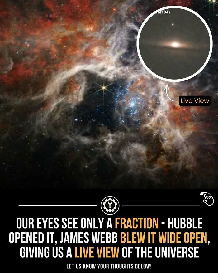 79 Wildly Weird Facts You Won't Believe Are Real