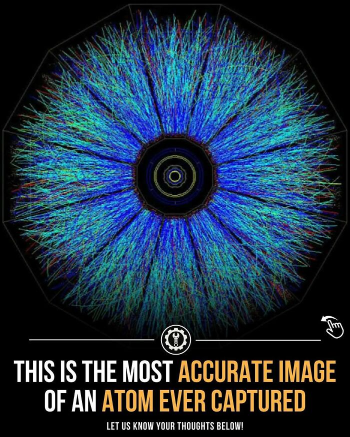 79 Wildly Weird Facts You Won't Believe Are Real