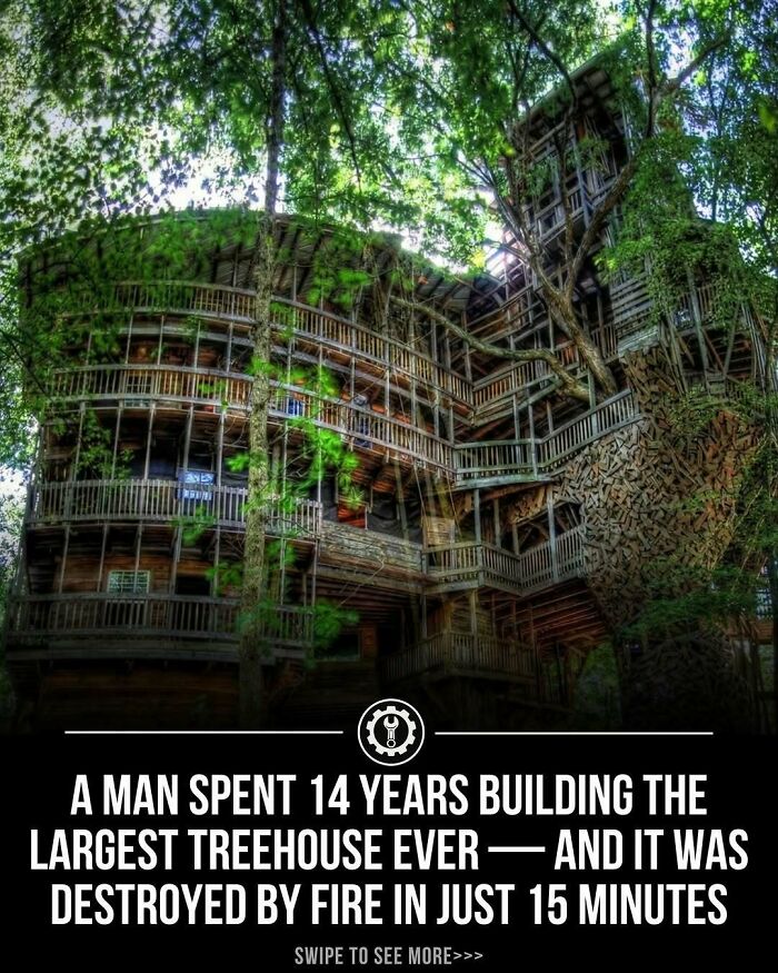 79 Wildly Weird Facts You Won't Believe Are Real