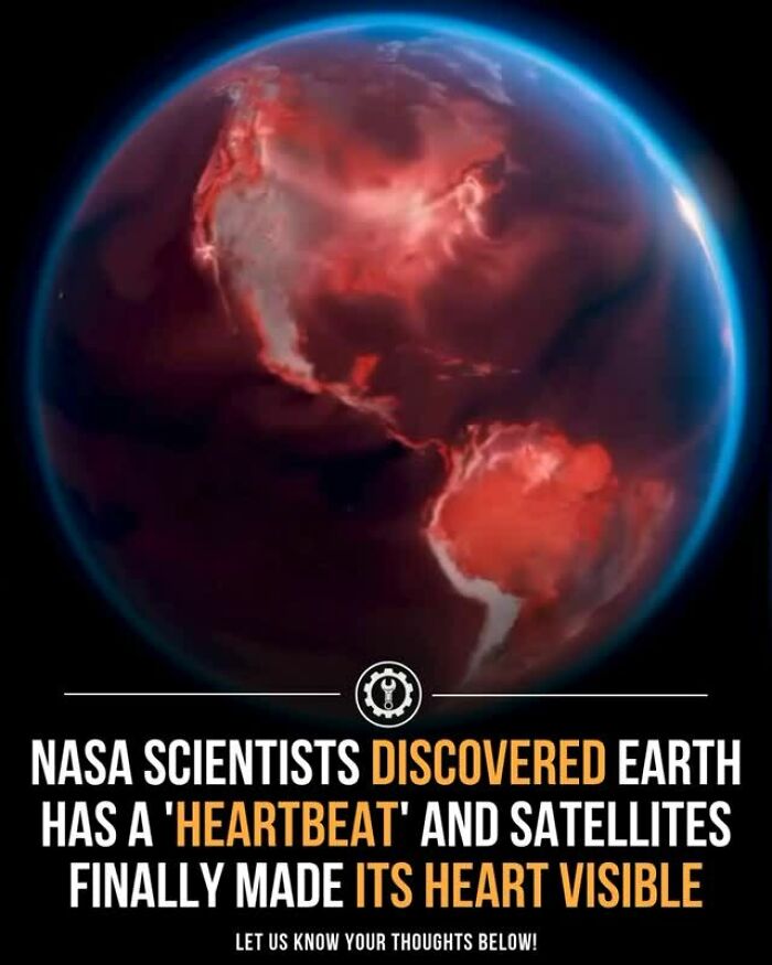 79 Wildly Weird Facts You Won't Believe Are Real