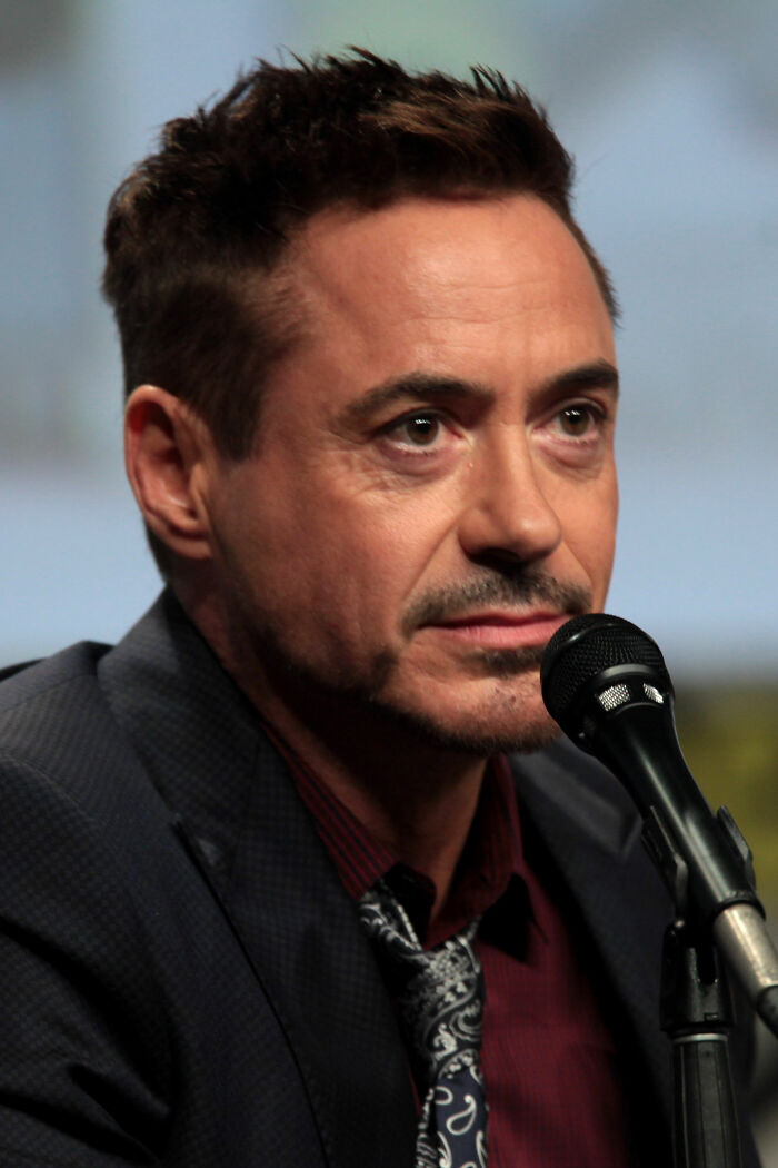 Robert Downey Jr.: The Kung Fu Iron Man, 61