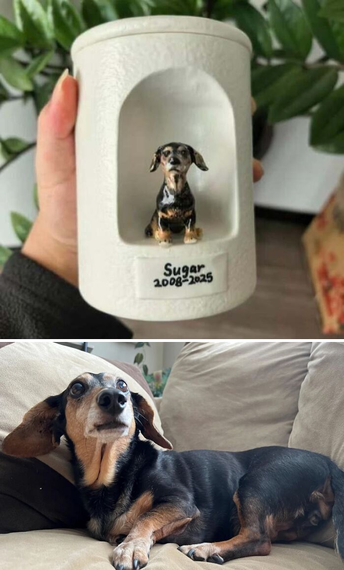 Wait Till You See What These DIY Wizards Made With Their Own Hands!