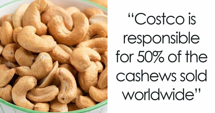 Wait, They Actually Ranked That?! 61 Mind-Blowing Facts You Won’t Believe Are True