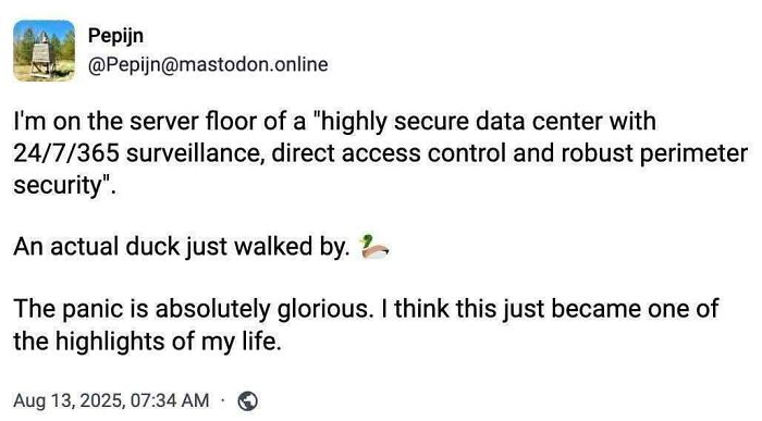 Meanwhile at DuckDuckGo
