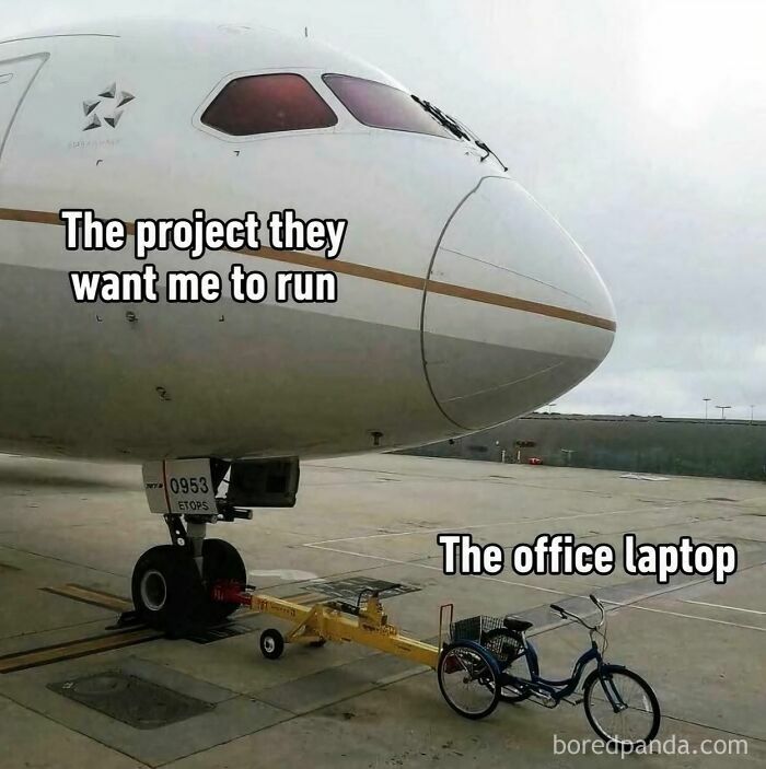 Wait, They Actually Made Memes About Programmers?!