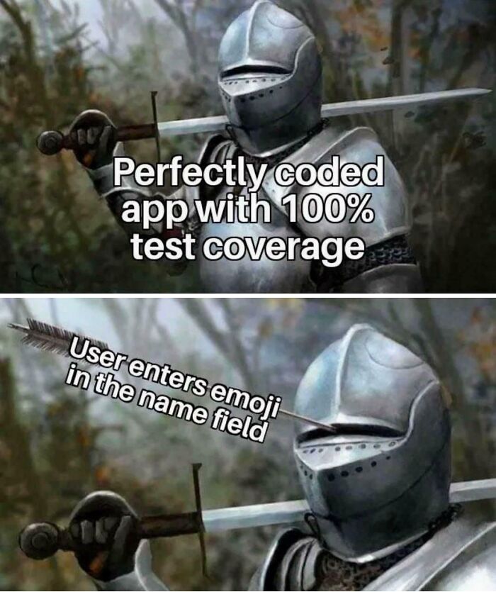 Wait, They Actually Made Memes About Programmers?!