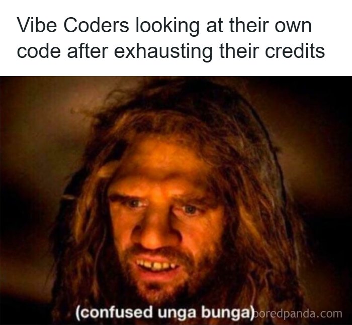 Wait, They Actually Made Memes About Programmers?!