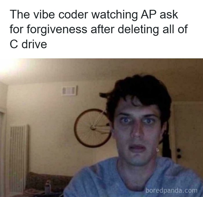 Wait, They Actually Made Memes About Programmers?!