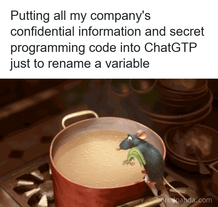 Wait, They Actually Made Memes About Programmers?!