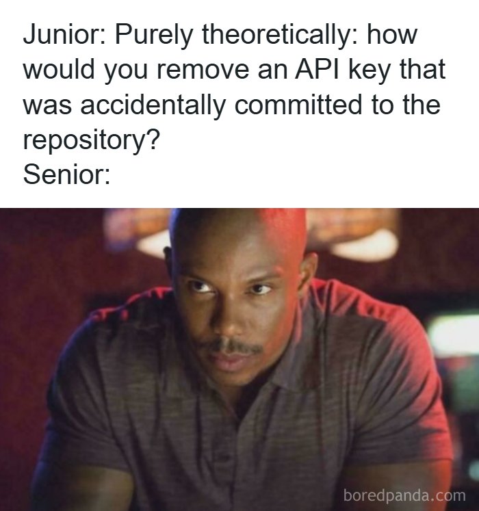 Wait, They Actually Made Memes About Programmers?!