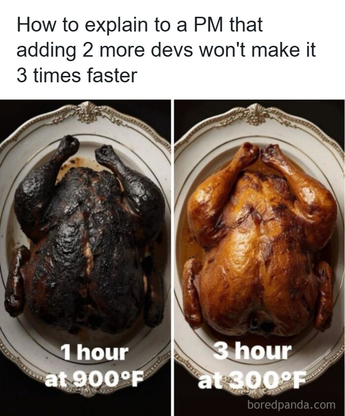 Wait, They Actually Made Memes About Programmers?!